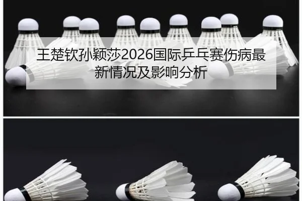 王楚钦孙颖莎2026国际乒乓赛伤病最新情况及影响分析