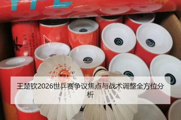 王楚钦2026世乒赛争议焦点与战术调整全方位分析