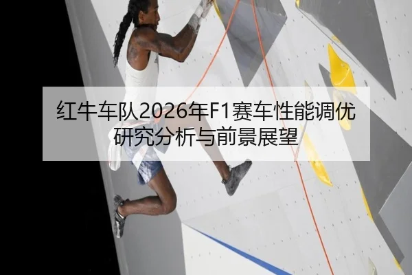 hong-niu-che-dui-nian-sai-che-xing-neng-diao-you-yan-jiu-fen-xi-yu-qian-jing-zhan-wang-2-570.jpg